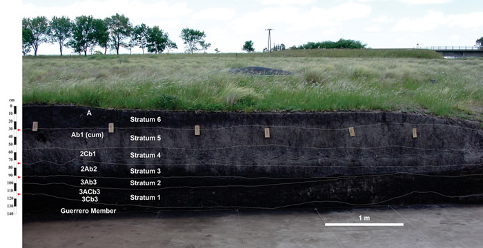 阿根廷彭巴草原发现的巨型地懒化石提供人类与更新世末期巨型动物灭绝有关的证据