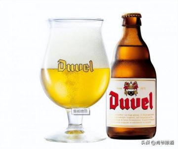 ​碧特博格啤酒怎么样(德国碧特博格啤酒)