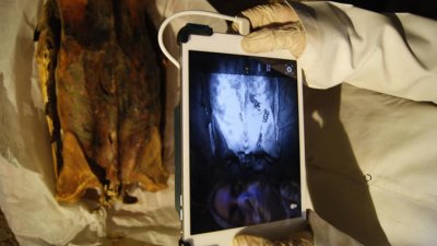 ​考古学家借助红外线扫描仪在古埃及人木乃伊上发现隐藏纹身