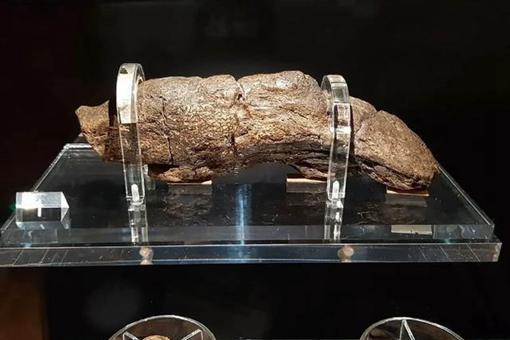 维京人的大痔疮是怎么一回事?这与一千多年前的屎化石有什么关系?