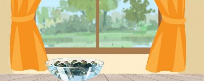 ​什么螃蟹有毒