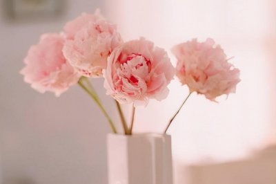 ​桃李之年是指多少岁的人（哪个年龄段女人称呼桃李之年）