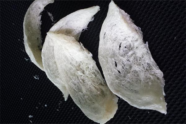 燕窝可以保胎安胎吗 燕窝孕妇几个月的时候吃最好 燕窝可以保胎安胎吗 燕窝孕妇几个月的时候吃最好