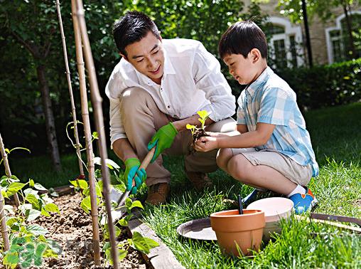 入伏种什么菜?入伏适合种哪些蔬菜? 入伏种什么菜?入伏适合种哪些蔬菜?
