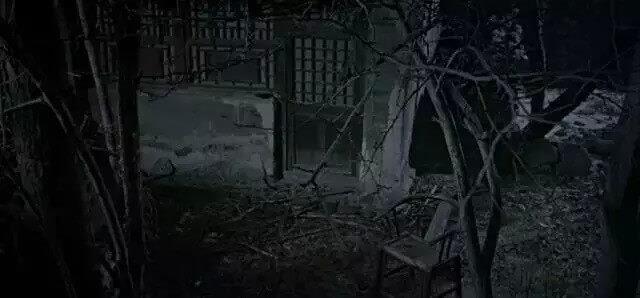 真实灵异鬼故事,狐狸黄鼠狼拜月,回魂,出体,好故事不是天天有