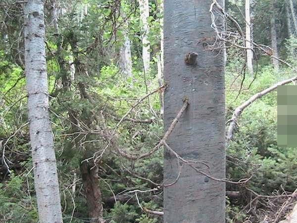 美国在荒漠中建立的这个避难所，下去后我才知道里面有多威