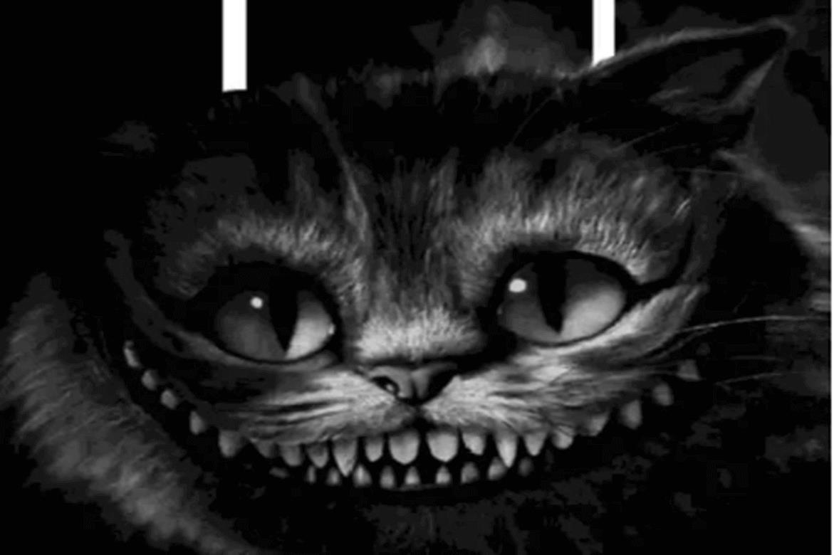 短篇鬼故事：奇怪的猫叫声，深夜从楼道传来，太恐怖了