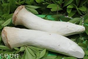 杏鲍菇熟了是什么样?变软了就能吃 杏鲍菇熟了是什么样?变软了就能吃
