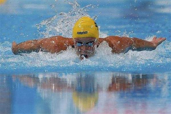 蝶泳怎么转身 和蛙泳差不多 蝶泳怎么转身 和蛙泳差不多