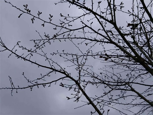 故事:村庄上经常闹鬼,每次闹鬼,村庄上就少一些畜禽