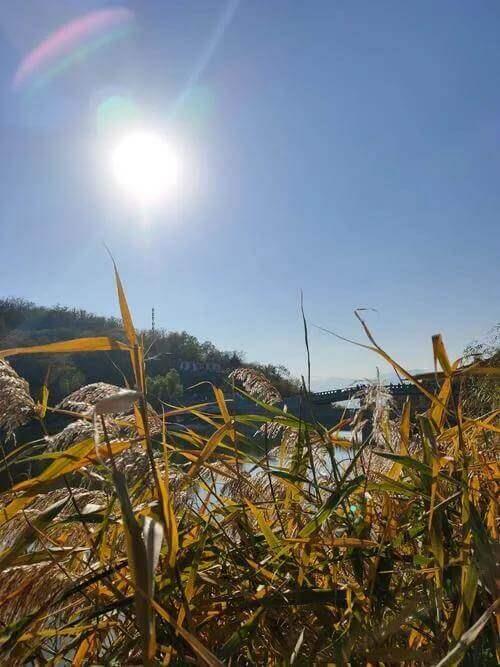 短篇小说：梦魇（2）