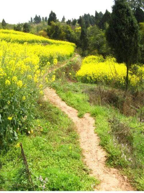 短篇小说：梦魇（2）