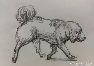 民间故事:泥瓦匠泄露天机,差点因此丧命