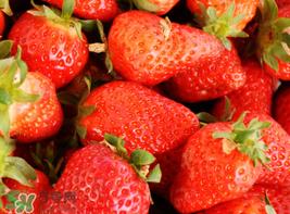 四月份还有草莓吗?4月份还有草莓吗? 四月份还有草莓吗?4月份还有草莓吗?