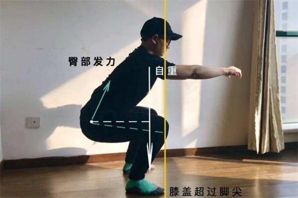 深蹲跳的标准动作 深蹲跳怎么做 深蹲跳的标准动作 深蹲跳怎么做