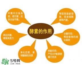 喝酵素拉肚子正常吗?喝酵素拉肚子的原因 喝酵素拉肚子正常吗?喝酵素拉肚子的原因