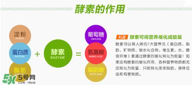 喝酵素拉肚子正常吗?喝酵素拉肚子的原因 喝酵素拉肚子正常吗?喝酵素拉肚子的原因