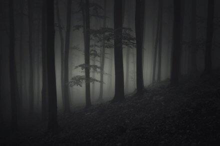 半夜凉飕飕特别篇5:蛋友们的那些事儿,两个铃声