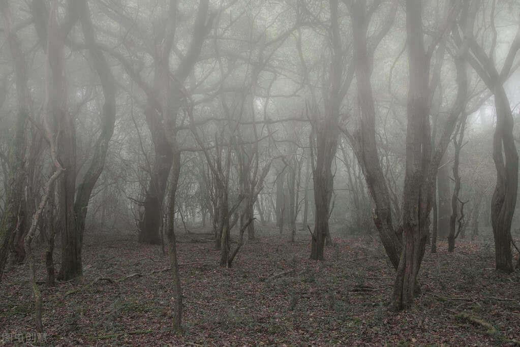 怪谈!13个网友讲述的民间鬼故事,看完整个人都不好了,胆小慎点