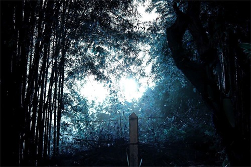 怪谈!13个网友讲述的民间鬼故事,看完整个人都不好了,胆小慎点