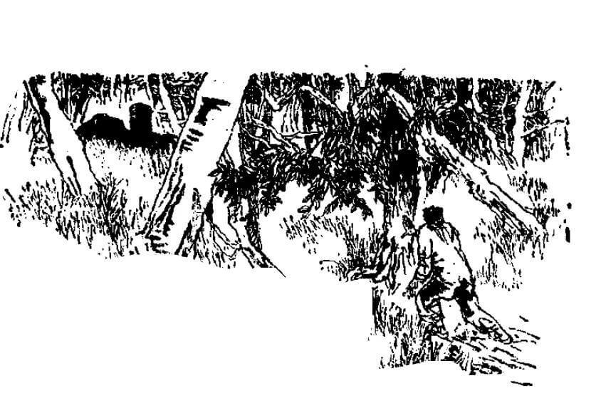 民间故事:半夜敲门声