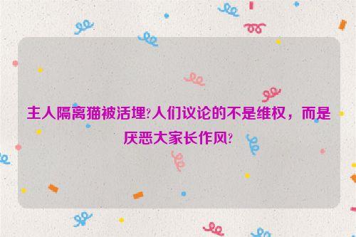 主人隔离猫被活埋?人们议论的不是维权，而是厌恶大家长作风?