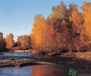 贴秋膘是什么时候?立秋贴秋膘的方法及五大禁忌人群 贴秋膘是什么时候?立秋贴秋膘的方法及五大禁忌人群