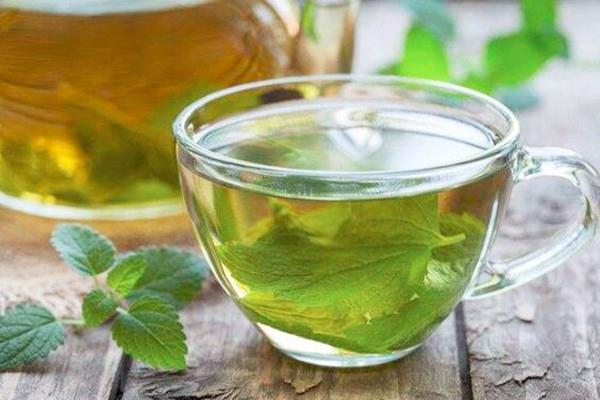 薄荷茶可以加冰糖吗 薄荷茶能和蜂蜜一起喝吗 薄荷茶可以加冰糖吗 薄荷茶能和蜂蜜一起喝吗