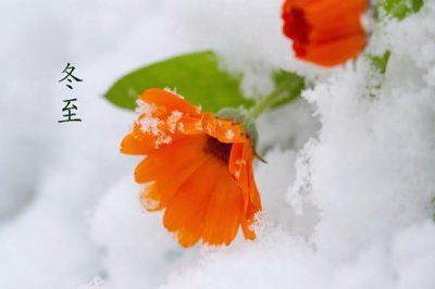 ​冬至是几月几号2021年 冬至有什么含义吗