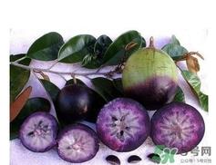 牛奶果怎么吃?牛奶果的功效与作用 牛奶果怎么吃?牛奶果的功效与作用