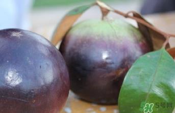 牛奶果怎么吃?牛奶果的功效与作用 牛奶果怎么吃?牛奶果的功效与作用