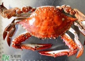 六月份有螃蟹吗?六月份吃什么螃蟹? 六月份有螃蟹吗?六月份吃什么螃蟹?