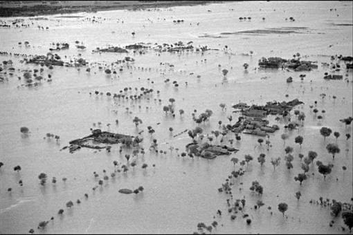 网络图片(侵删)