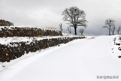 ​短篇小说:雪夜遗情