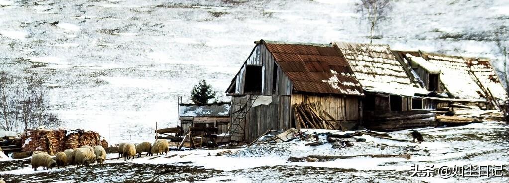 短篇小说：雪夜遗情