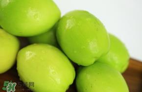 青枣吃多了会胖吗？吃青枣会不会发胖？