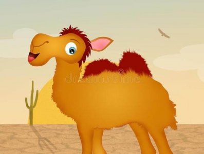 ​3~6岁睡前故事-20210705仙人掌??（仙人掌的睡前故事）