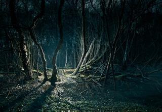 中国五大恐怖灵异事件,我手心直冒汗!