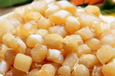 ​瑶柱能包饺子吗 包饺子超级鲜