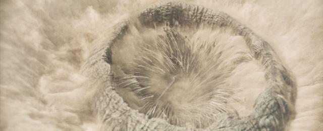 探秘《沙丘》厄拉科斯到底是一颗怎样的星球，为什么能滋养沙虫呢？  15