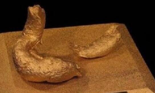 探秘日本的屎尿宴到底有多恶心 日本人为什么喜欢吃屎喝尿  2