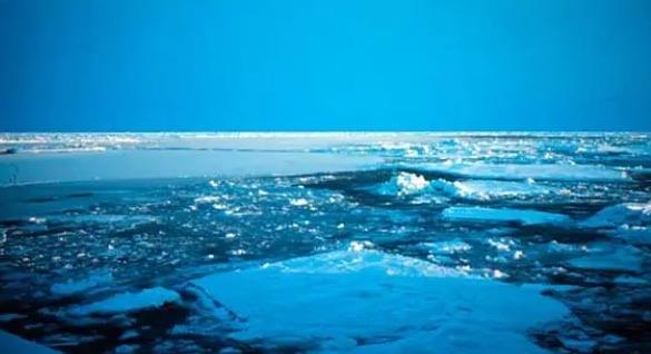 探秘世界四大洋中面积最小的是(北冰洋面积多少平方公里) 2