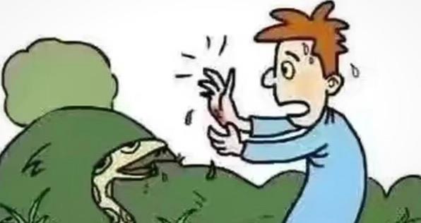 探秘用嘴吸蛇毒会中毒吗(应该怎样正确放毒血) 2