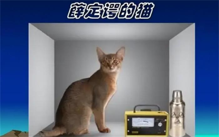 探秘薛定谔的猫是啥意思(理想实验) 3