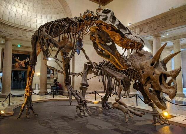 探秘恐龙是什么时候出现的?恐龙是什么时候灭绝的?  3