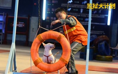 ​电影《监狱犬计划》群星演绎为爱救赎获八方支持