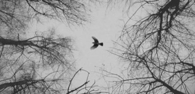 ​一个女生嘴巴很严说明什么