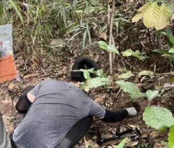 ​最新发现的新物种是什么？