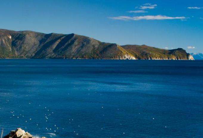 世界最大的海Top10