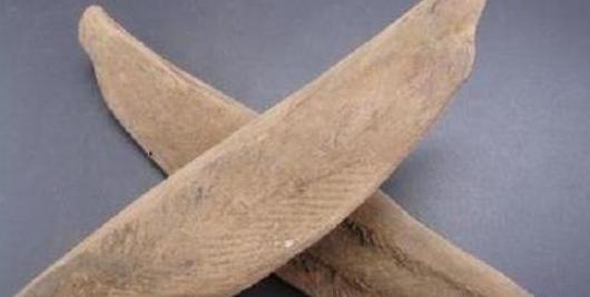 世界最硬的鱼干，用刀砍不断只能刨子削，许多人都吃过但不认识它
